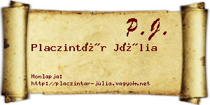 Placzintár Júlia névjegykártya